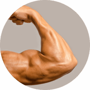 Advanced Muscle Plus Benefits