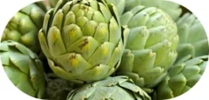 Artichoke Extract