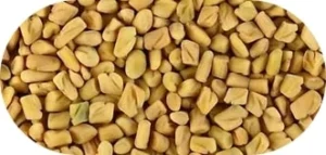 Fenugreek