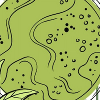 Greenselect Phytosome