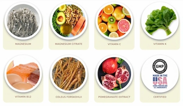 HydroLean XT Ingredients