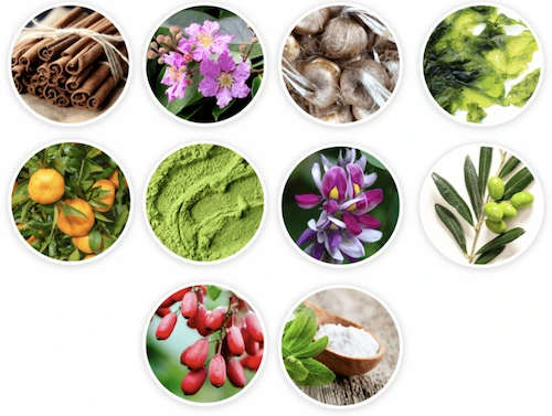 Lean-Bliss-Ingredients