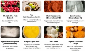 Nu-Nerve-ingredients