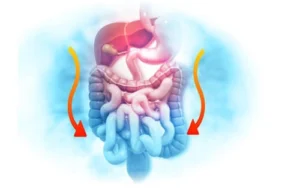 integrative-digestive-formula-benefits