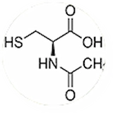 N-Acetyl L-Cysteine