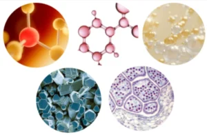 VitaLock-Complex-Ingredients